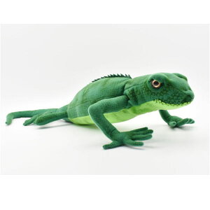 �n���T�yHANSA�z�ʂ������ �g�J�Q50 �I�[�X�g�����A �u�����h hansa ���킢�� �f���� �J�X�j�� ���j�� �a�����j��