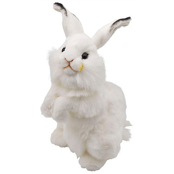 楽天市場】ハンサ【ＨＡＮＳＡ】ぬいぐるみ白うさぎ30cm ウサギ うさ 