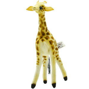 nTyHANSAzʂ L[`F[  L L[O `[ obN`[  [ L[z_[ uh  킢 ꏏɂo