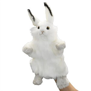 nT HANSA ʂ nhpybg VETM34   rbg wl` l` l` 킢 ǂݕ m ۈ牀 ct ] p[eB[ ObY
