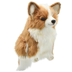 nTyHANSAzʂ SttFAEFCEbhpwbhJo[ ` CHEHUAHUA I[XgA uh hansa 킢 f JXj j aj Aj} 