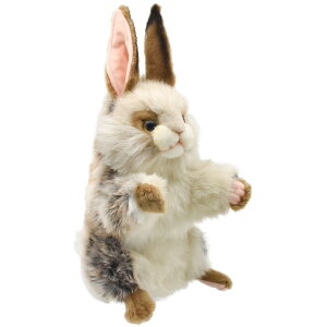 nTyHANSAzʂ SttFAEFCEbhpwbhJo[ ETM RABBIT rbg e I[XgA uh hansa 킢 f JXj j aj Aj} 