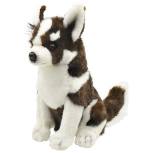 nTyHANSAzʂ SttFAEFCEbhpwbhJo[ nXL[ SIBERIAN HUSKY I[XgA uh hansa 킢 f JXj j aj Aj} 