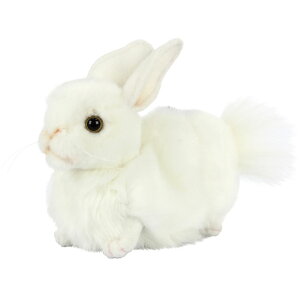 nTyHANSAzʂ St p^[pwbhJo[ VETM WHITE RABBIT I[XgA uh hansa 킢 f JXj j aj Aj} 