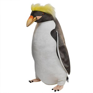 nTyHANSAzʂ }JjyM62cm I[XgA uh hansa 킢 f JXj j aj