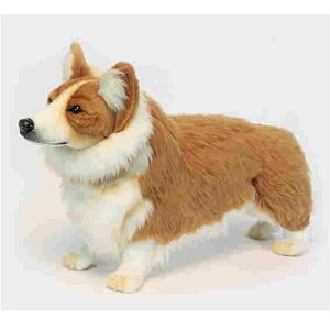 nTyHANSAzʂ EFVR[M[50cm I[XgA uh hansa 킢 f JXj j aj