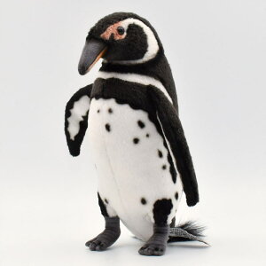 nTyHANSAzʂ KpSXyM23cm I[XgA uh hansa 킢 f JXj j aj