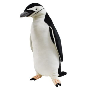 nTyHANSAzʂ qQyM 61 I[XgA uh hansa 킢 f JXj j aj