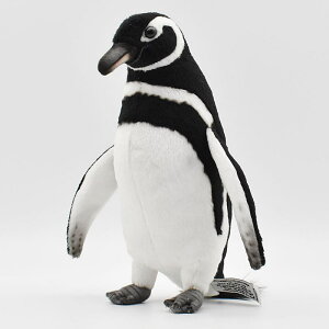 nTyHANSAzʂ }[yM22cm I[XgA uh hansa 킢 f JXj j aj