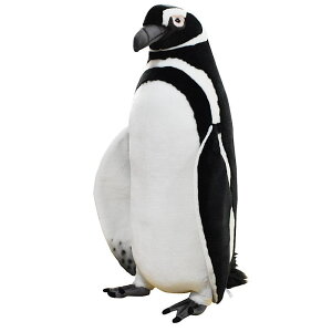 nTyHANSAzʂ }[yM63 I[XgA uh hansa 킢 f JXj j aj