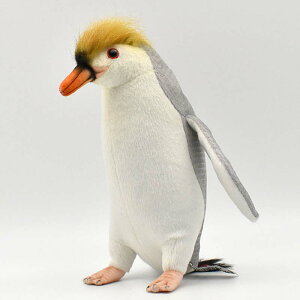 nTyHANSAzʂ CyM22cm I[XgA uh hansa 킢 f JXj j aj