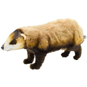 nTyHANSAzʂ jzAiO}54 񂮂 킢 {ŗL I[XgA uh hansa 킢 f JXj j aj