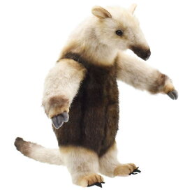 楽天市場 コアリクイの通販