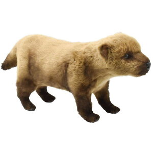 nTyHANSAzʂ uCk48 Zn   I[XgA uh hansa 킢 f JXj j aj