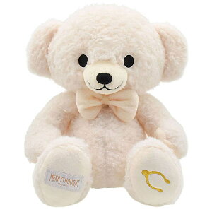 [\[g ԏi }Ct@[Xg`[L[ efBxA N[M