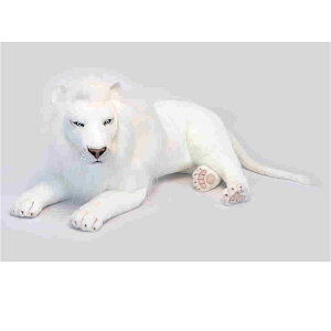 nTyHANSAzʂ zCgCI100cm I[XgA uh hansa 킢 f JXj j aj