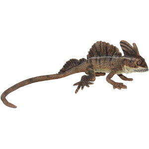 nTyHANSAzʂ uEoVXN 69 BASILISK ঒ F I[XgA uh hansa 킢 f JXj j aj