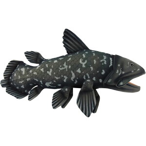 nTyHANSAzʂ V[JX 50 COELACANTH [C  I[XgA uh hansa 킢 f JXj j aj