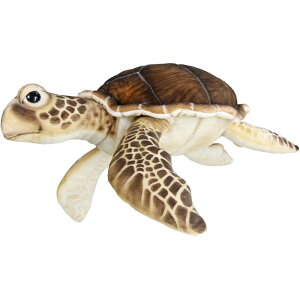 nTyHANSAzʂ E~K 63 SEA TORTOISE CT  傫 I[XgA uh hansa 킢 f JXj j aj