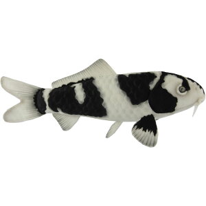 nTyHANSAzʂ ь ʂ 52 KOI  Ϗ܋  I[XgA uh hansa 킢 f JXj j aj