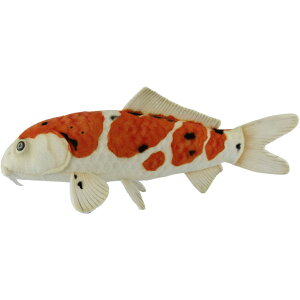 nTyHANSAzʂ ь 吳OF 52 KOI  Ϗ܋  I[XgA uh hansa 킢 f JXj j aj