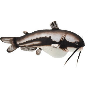 nTyHANSAzʂ i}Y 37 CAT FISH I[XgA uh hansa 킢 f JXj j aj  