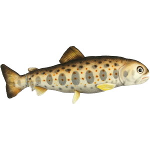 nTyHANSAzʂ A}S 37 AMAGO TROUT I[XgA uh hansa 킢 f JXj j aj   {ŗL