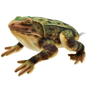 nTyHANSAzʂ SCAXKG 35 GOLIATH FROG I[XgA uh hansa 킢 f JXj j aj JG N ^ Eő