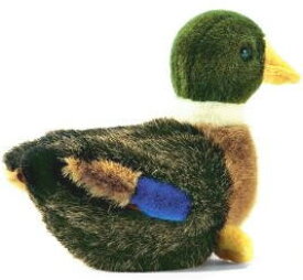 ハンサ【HANSA】ぬいぐるみ 仔マガモ12cm(小) オーストラリア ブランド hansa かわいい 映える 開店祝い 内祝い 誕生日祝い