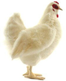 ハンサ【HANSA】ぬいぐるみ 白メンドリ38cm 鶏 ニワトリ