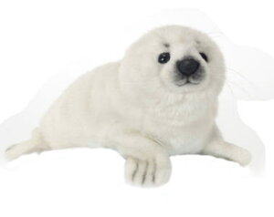 nTyHANSAzʂ AUV35cm C^ 炵 ܂ ӂ ԂȐԂ I[XgA uh hansa 킢 f JXj j aj