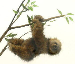 nTyHANSAzʂ ~cri}Pm36cm I[XgA uh hansa 킢 f JXj j aj