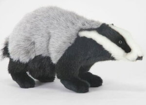 yX[p[Z[ zz nTyHANSAzʂ AiO}65cm I[XgA uh hansa 킢 f JXj j aj