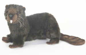 nTyHANSAzʂ r[o[48cm I[XgA uh hansa 킢 f JXj j aj