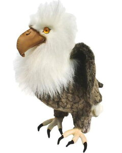 nTyHANSAzʂ nNgEV45cm 킵 I[XgA uh hansa 킢 f JXj j aj