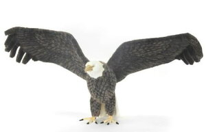 nTyHANSAzʂ nNgEV105cm