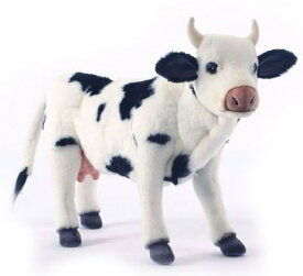 楽天市場 Hansa 牛の通販