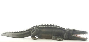 nTyHANSAzʂ CGj130cm I[XgA uh hansa 킢 f JXj j aj 