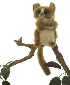 nTyHANSAzʂ KlU16cm I[XgA uh hansa 킢 f JXj j aj