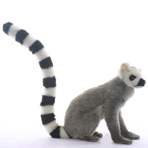 nTyHANSAzʂ ILclU40 I[XgA uh hansa 킢 f JXj j aj