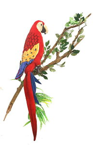 nTyHANSAzʂ RSECR72cm I[XgA uh hansa 킢 f JXj j aj