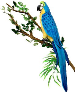 nTyHANSAzʂ RSECR72cm I[XgA uh hansa 킢 f JXj j aj