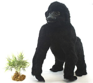 yX[p[Z[ zz nTyHANSAzʂ S65cm I[XgA uh hansa 킢 f JXj j aj