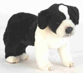 ハンサ【HANSA】ぬいぐるみ ボーダーコリー39cm オーストラリア ブランド hansa かわいい 映える 開店祝い 内祝い 誕生日祝い