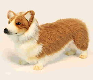 nTyHANSAzʂ EFVR[M[35cm I[XgA uh hansa 킢 f JXj j aj