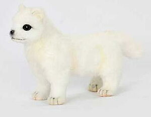 nTyHANSAzʂ eLcl20cm zbLNMcl   I[XgA uh hansa 킢 f JXj j aj