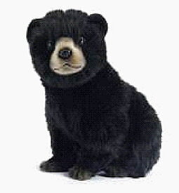 ハンサ【HANSA】ぬいぐるみ コグマ ブラック25cm こぐま 小熊 黒熊 クロクマ オーストラリア ブランド hansa かわいい 映える 開店祝い 内祝い 誕生日祝い