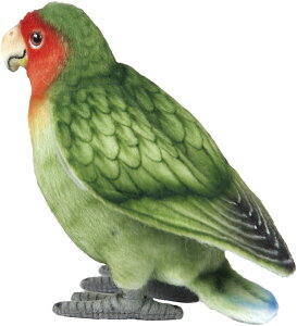 nTyHANSAzʂ RUNCR13cm I[XgA uh hansa 킢 f JXj j aj