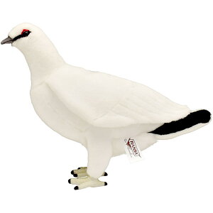 nTyHANSAzʂ C`E ~ 29cm I[XgA uh hansa 킢 f JXj j aj