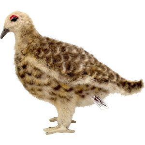 nTyHANSAzʂ C`E  28cm I[XgA uh hansa 킢 f JXj j aj